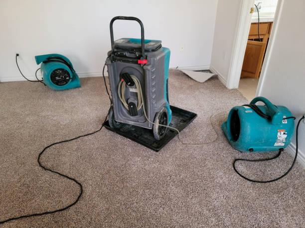 Best Sewage cleanup and water damage restoration  in Pine Beach, NJ