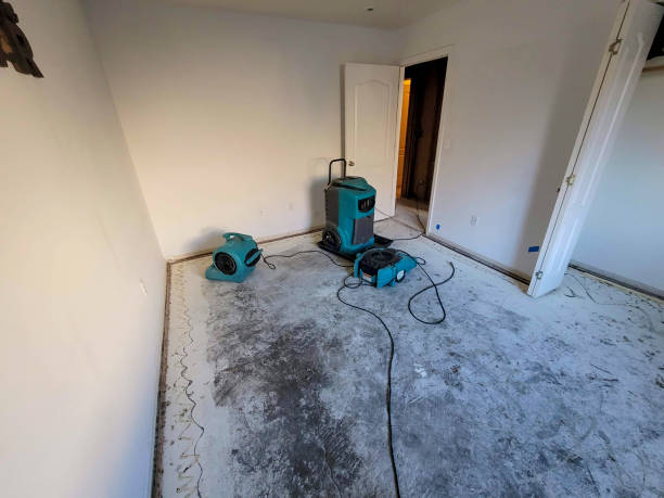Best Mold removal after water damage  in Pine Beach, NJ