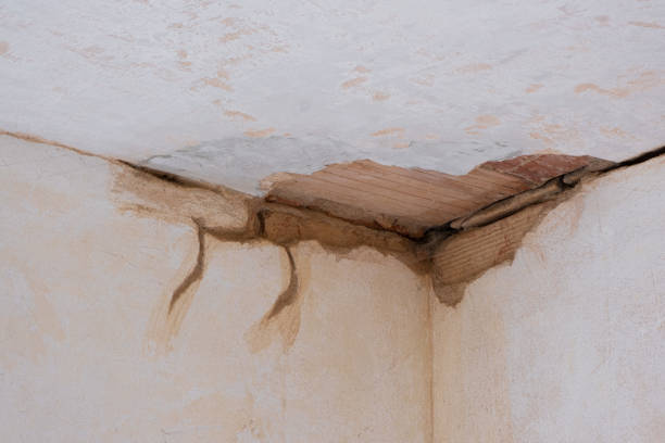  Pine Beach, NJ Water damage restoration Pros