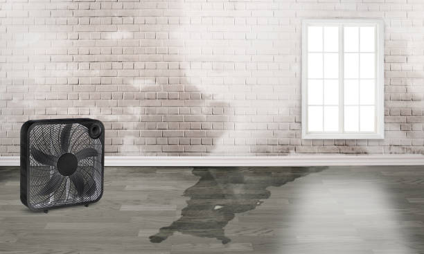 Best 24-hour water damage restoration  in Pine Beach, NJ