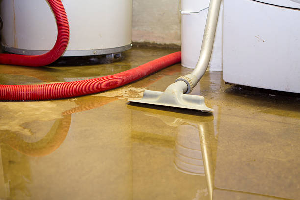 Best Water damage contractors near me  in Pine Beach, NJ