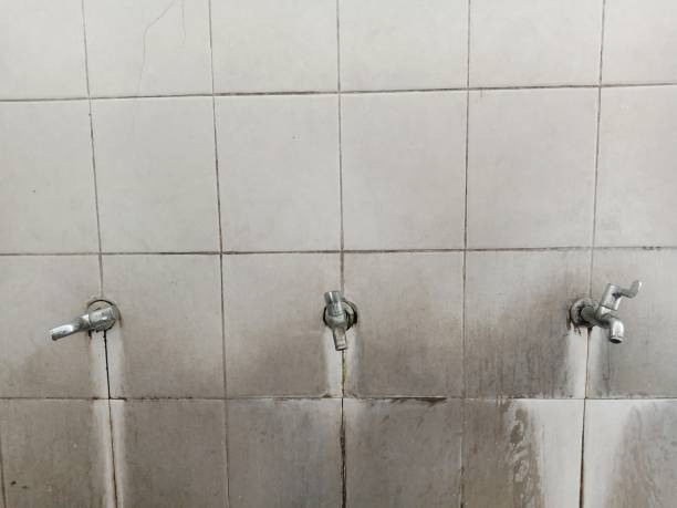 Best 24/7 water damage repair  in Pine Beach, NJ