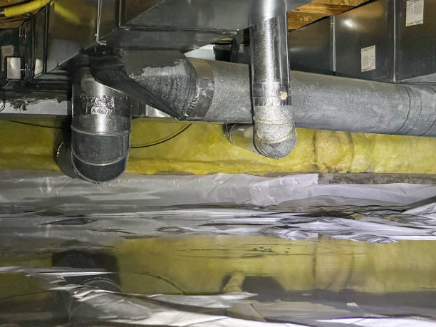 Best Water damage restoration near me  in Pine Beach, NJ