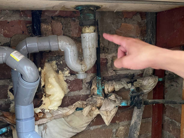 Best Water damage restoration near me  in Pine Beach, NJ