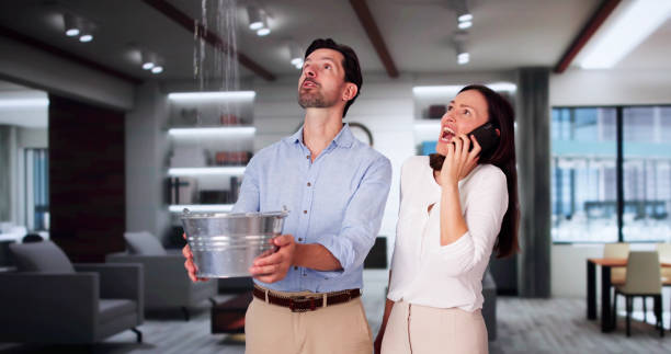 Best Water damage restoration process  in Pine Beach, NJ