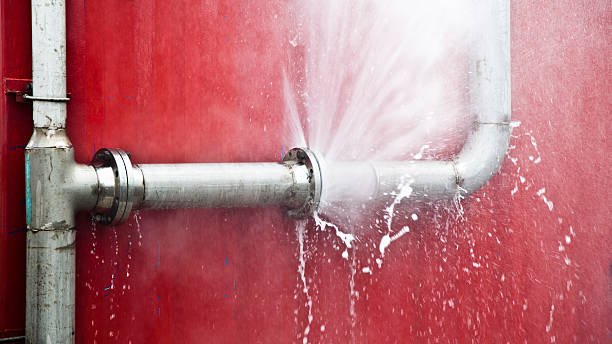 Best Sewage cleanup and water damage restoration  in Pine Beach, NJ